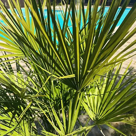 Stevns Camp Casa vacanze Strøby Ladeplads