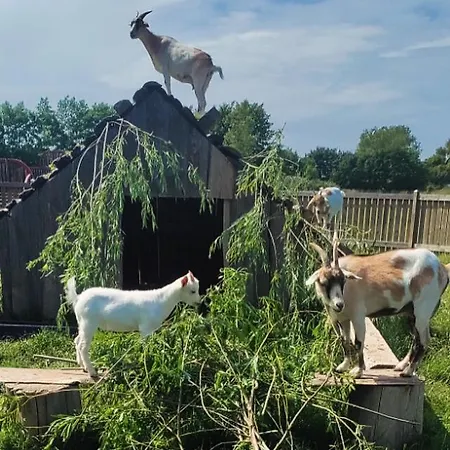 Stevns Camp Сasa de vacaciones