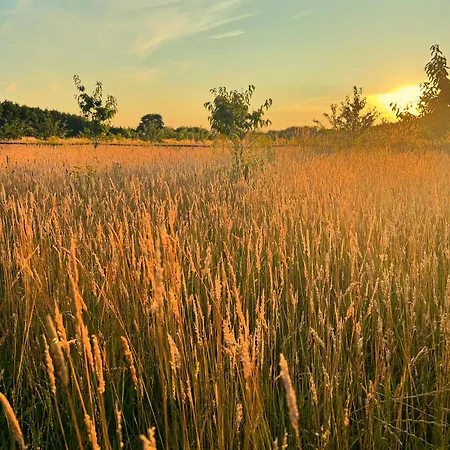 Сasa de vacaciones Stevns Camp *