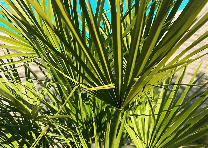 Stevns Camp Ferienhaus Strøby Ladeplads