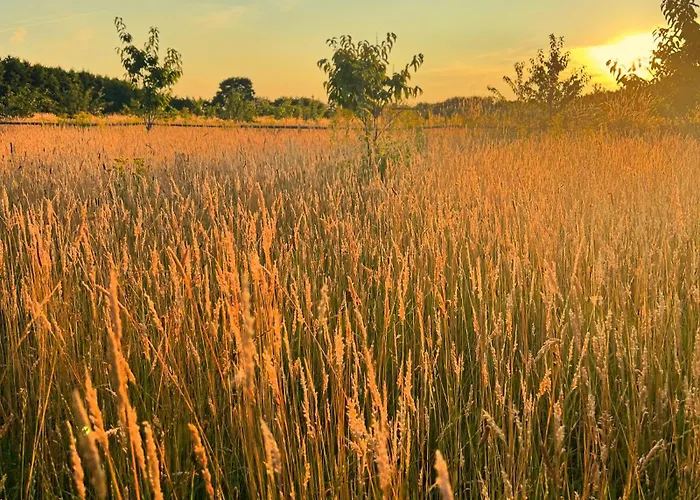 Vakantiehuis Stevns Camp *