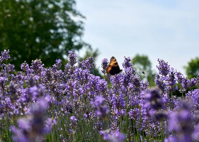 Stevns Camp Vakantiehuis Strøby Ladeplads